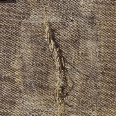Detail eines Leinwandrisses